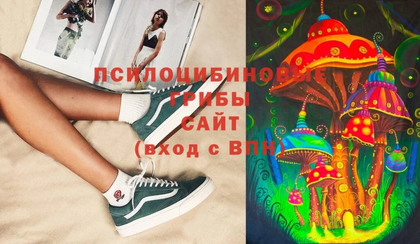 стафф Аркадак