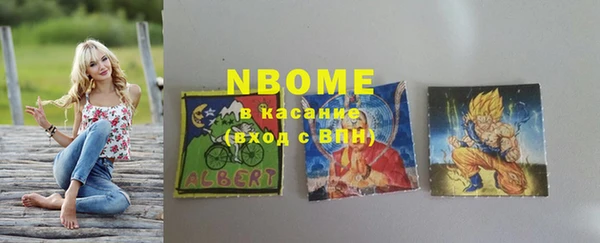 стафф Аркадак