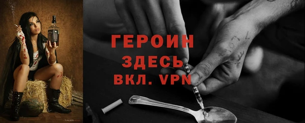 амф Ельня