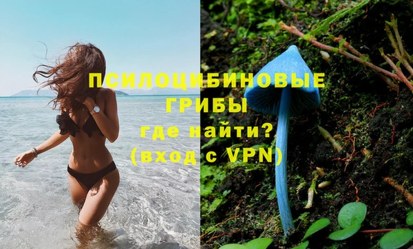 стафф Аркадак