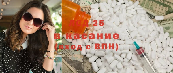 стафф Аркадак