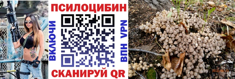 кракен tor  Асино  Галлюциногенные грибы мухоморы 