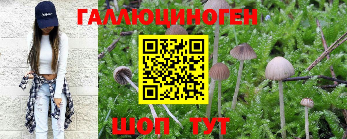Асино  Галлюциногенные грибы мицелий  Вход с VPN  Галлюциногенные грибы MAGIC MUSHROOMS 